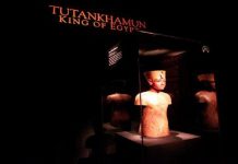 نيويورك تصادر آثارا بملايين الدولارات من ضمنها قطع ستعاد إلى مصر نيويورك تصادر آثارا بملايين الدولارات من ضمنها قطع ستعاد إلى مصر