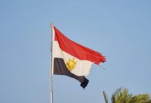 كيف استقبل المصريون مبادرة “عودة آمنة”؟ كيف استقبل المصريون مبادرة "عودة آمنة"؟