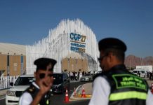 شكوى ألمانية وتحقيق بشأن مراقبة مصر لمشاركين بقمة المناخ شكوى ألمانية وتحقيق بشأن مراقبة مصر لمشاركين بقمة المناخ