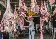 هل تتجدد دعوات مقاطعة اللحوم والدواجن في مصر؟ هل تتجدد دعوات مقاطعة اللحوم والدواجن في مصر؟