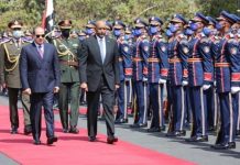 تحركات مصرية لتشكيل تيار سياسي سوداني موالٍ تحركات مصرية لتشكيل تيار سياسي سوداني موالٍ