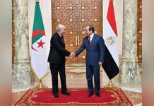 ضغوط مصرية لإضافة ملفي سدّ النهضة وتدخلات تركيا لأجندة القمة العربية ضغوط مصرية لإضافة ملفي سدّ النهضة وتدخلات تركيا لأجندة القمة العربية