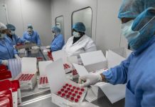 شبح كورونا يطل برأسه مجدداً في مصر شبح كورونا يطل برأسه مجدداً في مصر