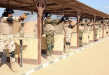 خبير مصري: مناورات حارس الجنوب تعكس المخاوف المصرية تجاه كل الحدود تعاون عسكري مصري سوداني يوجه رسائل عدة لأديس أبابا و جهود لتأمين الحدود