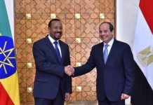 فيديو- شاهد رد فعل السيسي لدى رؤيته رئيس وزراء إثيوبيا بعد حديثه عن سد النهضة فيديو- شاهد رد فعل السيسي لدى رؤيته رئيس وزراء إثيوبيا بعد حديثه عن سد النهضة