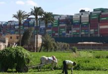 أسامة ربيع: شراكات مع مستثمرين أجانب في مشروعات قناة السويس أسامة ربيع: شراكات مع مستثمرين أجانب في مشروعات قناة السويس