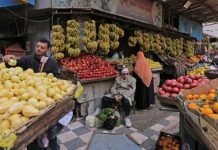 الأزمة المعيشية في مصر: قلق الأجهزة وتحذيرات للقيادة السياسية الأزمة المعيشية في مصر: قلق الأجهزة وتحذيرات للقيادة السياسية