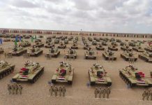 سهام مصطفى لـ”أفريقيا برس”: مصر تتقدم عسكريا لكن لن تدخل في حلف عسكري سهام مصطفى لـ"أفريقيا برس": مصر تتقدم عسكريا لكن لن تدخل في حلف عسكري