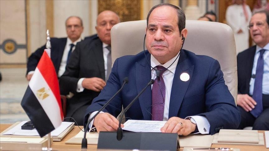 الرئيس المصري يبحث في الهند تعزيز العلاقات الرئيس المصري يبحث في الهند تعزيز العلاقات