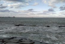 رعب في مصر بعد تحول لون مياه البحر للأسود عقب الزلزال المدمر رعب في مصر بعد تحول لون مياه البحر للأسود عقب الزلزال المدمر