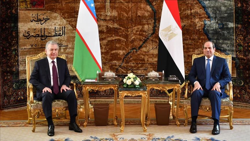 توافق مصري أزوبكي على أهمية إيجاد حل لأزمتي أوكرانيا وسد إثيوبيا توافق مصري أزوبكي على أهمية إيجاد حل لأزمتي أوكرانيا وسد إثيوبيا