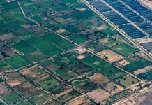 أزمة السلع الغذائية تدفع مصر لزراعة 3.7 مليون فدان بنظام التعاقد أزمة السلع الغذائية تدفع مصر لزراعة 3.7 مليون فدان بنظام التعاقد