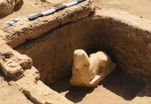 اكتشاف تمثال جديد لـ”أبو الهول” جنوبي مصر اكتشاف تمثال جديد لـ"أبو الهول" جنوبي مصر