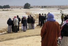 سيول وادي العريش إلى البحر… هدر سنوي سيول وادي العريش إلى البحر... هدر سنوي