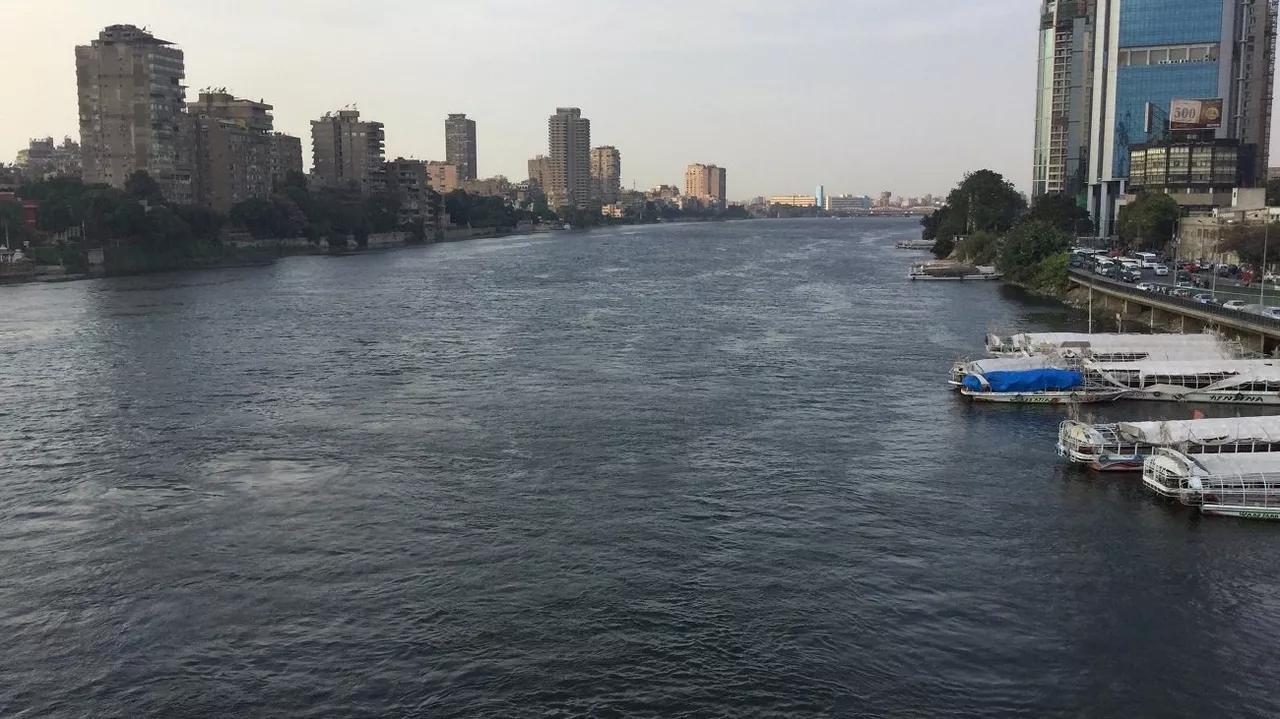الصحة المصرية تكشف عن جهودها الراهنة لمواجهة فيروس الصحة المصرية تكشف عن جهودها الراهنة لمواجهة فيروس