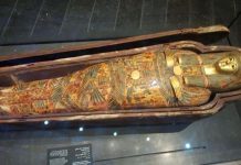 تابوت “الفرعون الأقوى” يعود لباريس بعد 47 عاما تابوت "الفرعون الأقوى" يعود لباريس بعد 47 عاما