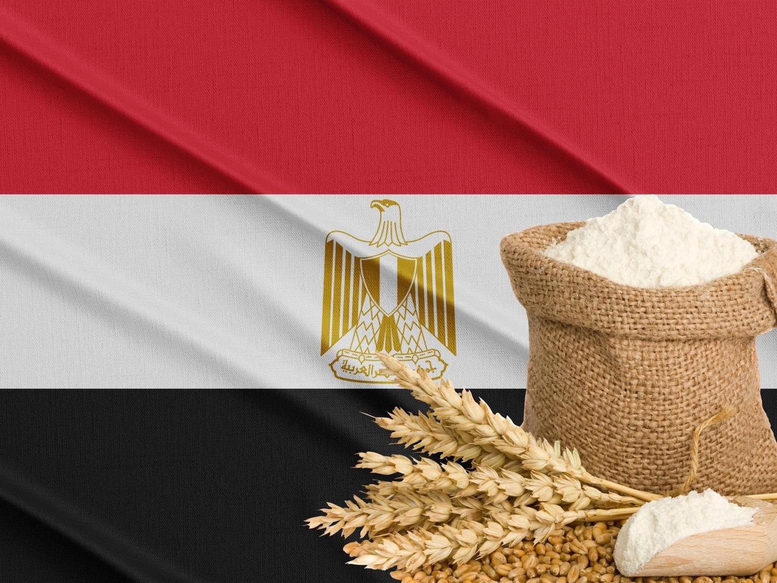 مصر تنظر في بدائل للدولار لتجارة السلع الأولية مصر تنظر في بدائل للدولار لتجارة السلع الأولية