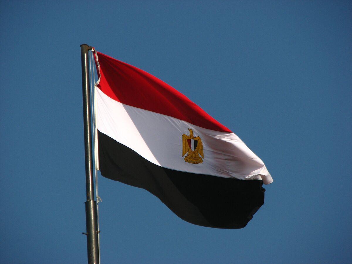 أعضاء بالحوار الوطني المصري يوضحون آليات العمل والقضايا المطروحة أعضاء بالحوار الوطني المصري يوضحون آليات العمل والقضايا المطروحة
