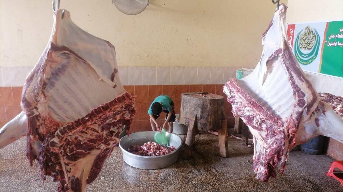 ارتفاع متزايد بأسعار المواشي.. هل تُحرم فئات من المصريين من الأضحية هذا العام؟ ارتفاع متزايد بأسعار المواشي.. هل تُحرم فئات من المصريين من الأضحية هذا العام؟