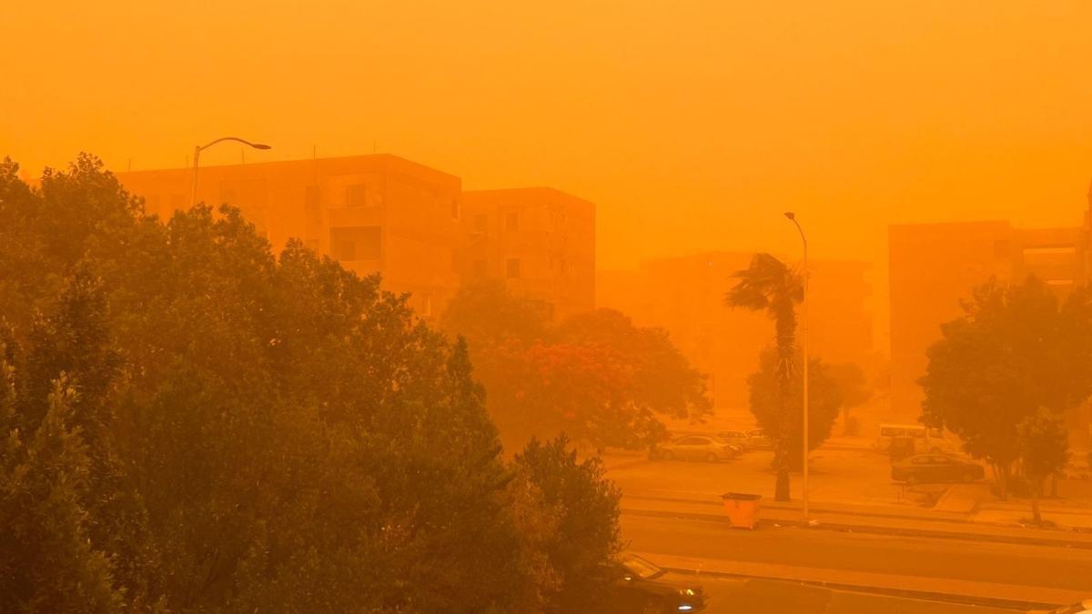عندما يأتي الصيف في الشتاء.. هل يدفع تغير المناخ مصر نحو عندما يأتي الصيف في الشتاء.. هل يدفع تغير المناخ مصر نحو