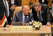 رغبة مصرية في حسم مبكر لخليفة أحمد أبو الغيط رغبة مصرية في حسم مبكر لخليفة أحمد أبو الغيط