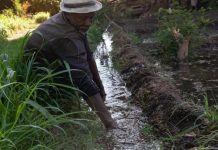 إصابات بحمى الضنك في مصر… وتعتيم على مناطق سياحية إصابات بحمى الضنك في مصر... وتعتيم على مناطق سياحية