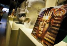 “مؤتمر علماء المصريات” 13.. المناخ وتجارة الآثار "مؤتمر علماء المصريات" 13.. المناخ وتجارة الآثار