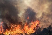 مساهمة الإنسان المدمّرة في التغير المناخي.. كيف نصنع الكوارث؟ مساهمة الإنسان المدمّرة في التغير المناخي.. كيف نصنع الكوارث؟