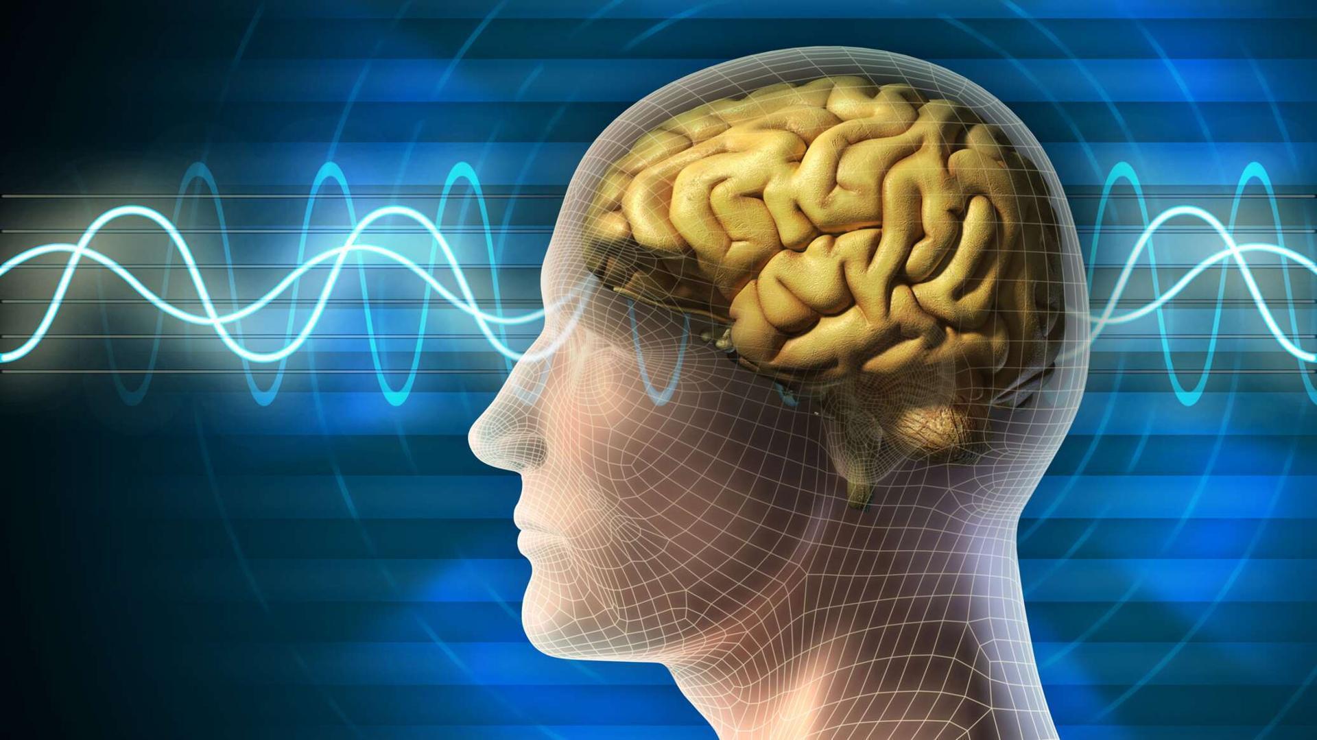 4 نصائح تساعدك على تسخير قوة الدماغ وتجعله أكثر حدة 4 نصائح تساعدك على تسخير قوة الدماغ وتجعله أكثر حدة