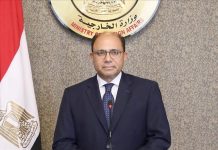 القاهرة: أول اجتماع وزاري لقمة دول جوار السودان الأحد في تشاد القاهرة: أول اجتماع وزاري لقمة دول جوار السودان الأحد في تشاد