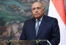 مصر تدعم تنفيذ خطة دول جوار السودان “في أقرب وقت” مصر تدعم تنفيذ خطة دول جوار السودان "في أقرب وقت"