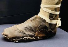متحف الحضارة يعرض حذاءًا طويلا من الجلد يعود إلى العصر الروماني متحف الحضارة يعرض حذاءًا طويلا من الجلد يعود إلى العصر الروماني