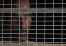 “الداخلية للأفلام القصيرة”.. مهرجان سينمائي متجوّل "الداخلية للأفلام القصيرة".. مهرجان سينمائي متجوّل