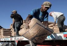 زلزال تركيا ينعش صادرات الإسمنت المصري زلزال تركيا ينعش صادرات الإسمنت المصري