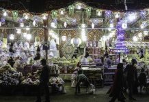 “مرماح” الخيول والتحطيب والمدائح تضيء ليلة المولد النبوي بمصر "مرماح" الخيول والتحطيب والمدائح تضيء ليلة المولد النبوي بمصر