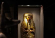 متحف التحنيط المصري.. الطريق إلى “الخلود الفرعوني” متحف التحنيط المصري.. الطريق إلى "الخلود الفرعوني"