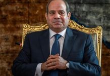 عريضة تطالب بموقف دبلوماسي من القضية الفلسطينية “يليق بدور مصر” عريضة تطالب بموقف دبلوماسي من القضية الفلسطينية "يليق بدور مصر"