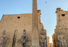 السياحة المصرية تدفع ثمن الحرب على غزة: إلغاء 50% من الحجوزات السياحة المصرية تدفع ثمن الحرب على غزة: إلغاء 50% من الحجوزات