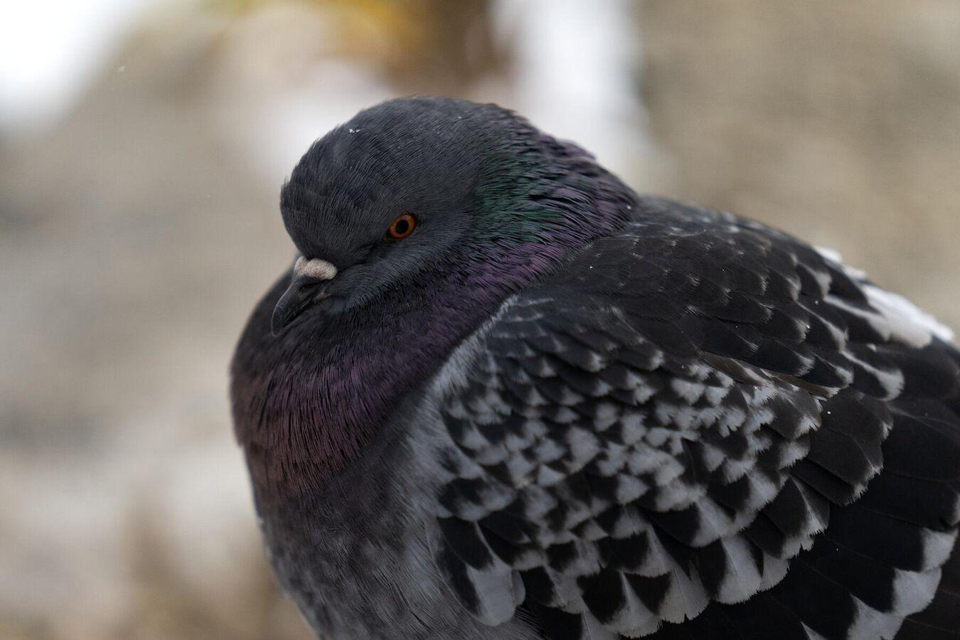 علماء يكشفون علماء يكشفون