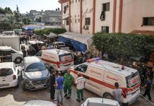 نقابة الأطباء المصريين تخاطب العالم لإنقاذ مستشفيات غزة قبل توقفها نقابة الأطباء المصريين تخاطب العالم لإنقاذ مستشفيات غزة قبل توقفها