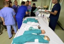 وزيرة الصحة الفلسطينية تطالب بنقل الخدج في “الشفاء” إلى الضفة أو مصر وزيرة الصحة الفلسطينية تطالب بنقل الخدج في "الشفاء" إلى الضفة أو مصر