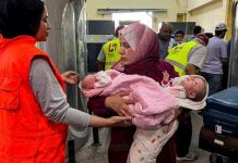 “القوة والتضامن لمواجهة كل أشكال العنف ضد المرأة”.. حملة مصرية لغزة "القوة والتضامن لمواجهة كل أشكال العنف ضد المرأة".. حملة مصرية لغزة