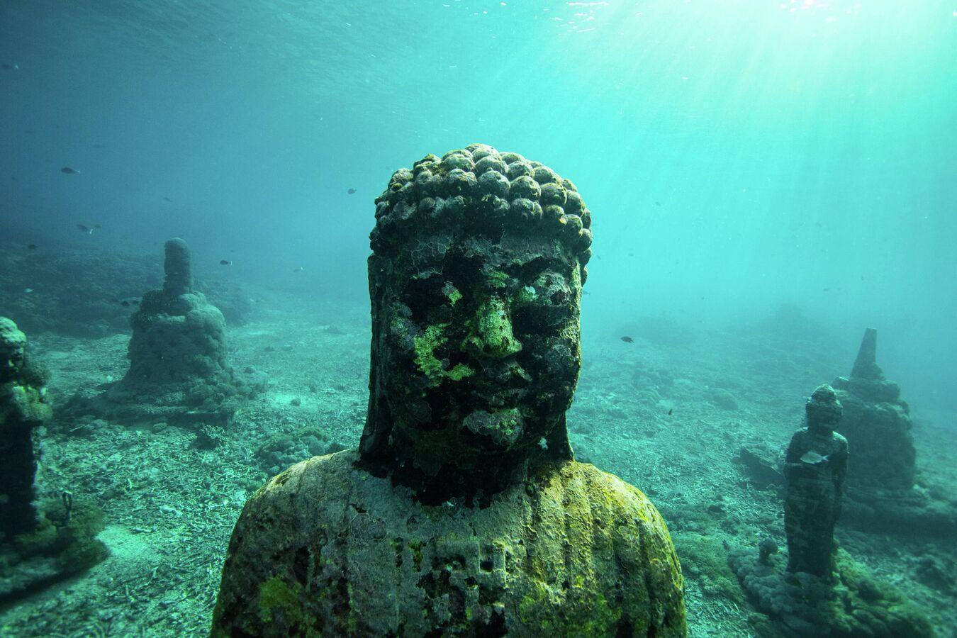 “هومو ناليدي”… “أشباه بشر” يبتكرون أول طريقة دفن “هومو ناليدي”… “أشباه بشر” يبتكرون أول طريقة دفن