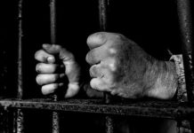 مصر في اليوم العالمي لحقوق الإنسان.. باحثون عن الكرامة والحرية مصر في اليوم العالمي لحقوق الإنسان.. باحثون عن الكرامة والحرية