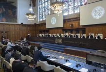 مصر تعتزم التدخل لدعم دعوى جنوب إفريقيا ضد إسرائيل مصر تعتزم التدخل لدعم دعوى جنوب إفريقيا ضد إسرائيل