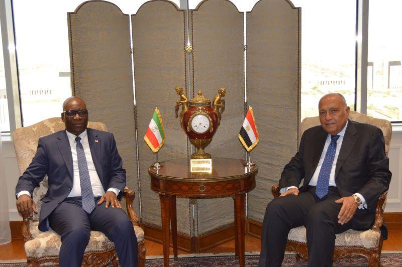 وزيرا خارجية مصر وغينيا يؤكدان أهمية تعزيز التعاون الثنائي فى العديد من المجالات التنموية وزيرا خارجية مصر وغينيا يؤكدان أهمية تعزيز التعاون الثنائي فى العديد من المجالات التنموية