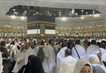 رئيس الوزراء المصري يكلف بسحب رخص 16 شركة سياحة وإحالة مسؤوليها للنيابة رئيس الوزراء المصري يكلف بسحب رخص 16 شركة سياحة وإحالة مسؤوليها للنيابة