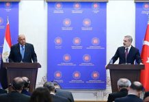 فيدان وشكري يبحثان الوضع في غزة فيدان وشكري يبحثان الوضع في غزة