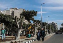 مصر تقطع الأشجار… إزالة غابة لإيواء متضرري نزلة السمان مصر تقطع الأشجار... إزالة غابة لإيواء متضرري نزلة السمان