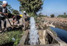 مصر تلجأ إلى الاتحاد الأفريقي لحل أزمة منابع النيل مصر تلجأ إلى الاتحاد الأفريقي لحل أزمة منابع النيل